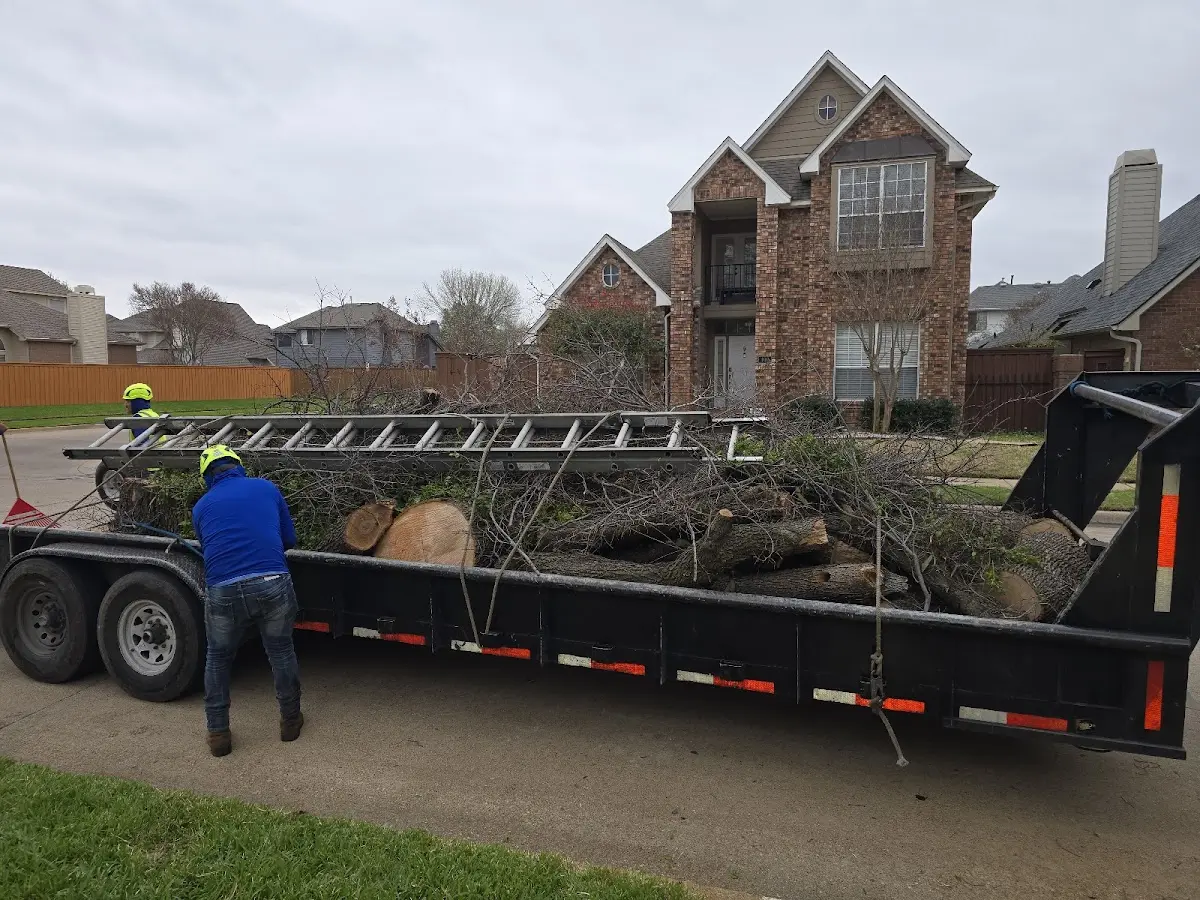 Expert Lot Clearing with proper safety equipment in Stanford
